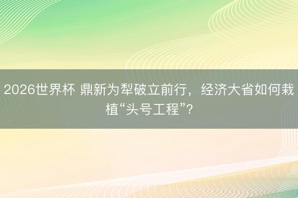 2026世界杯 鼎新为犁破立前行，经济大省如何栽植“头号工程”？