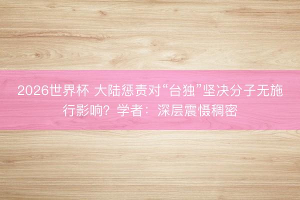 2026世界杯 大陆惩责对“台独”坚决分子无施行影响？学者：深层震慑稠密