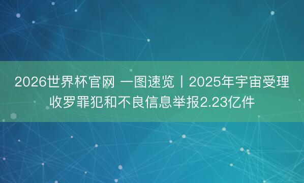 2026世界杯官网 一图速览丨2025年宇宙受理收罗罪犯和不良信息举报2.23亿件
