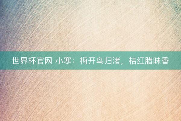 世界杯官网 小寒：梅开鸟归渚，桔红腊味香