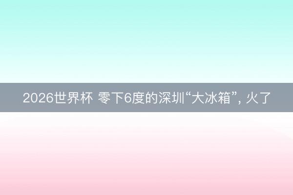 2026世界杯 零下6度的深圳“大冰箱”， 火了