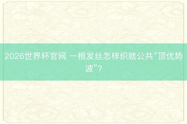 2026世界杯官网 一根发丝怎样织就公共“顶优势波”？