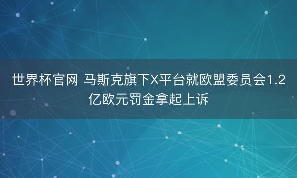 世界杯官网 马斯克旗下X平台就欧盟委员会1.2亿欧元罚金拿起上诉