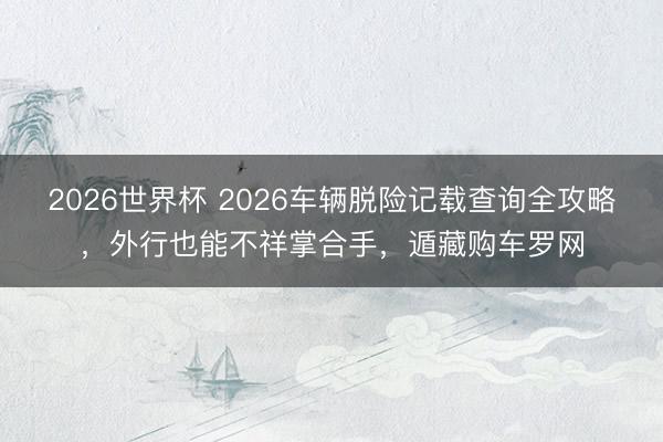 2026世界杯 2026车辆脱险记载查询全攻略，外行也能不祥掌合手，遁藏购车罗网