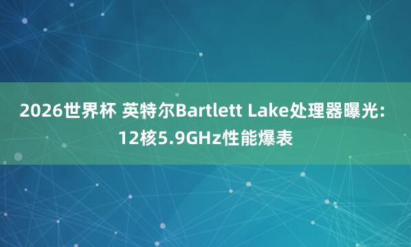 2026世界杯 英特尔Bartlett Lake处理器曝光: 12核5.9GHz性能爆表