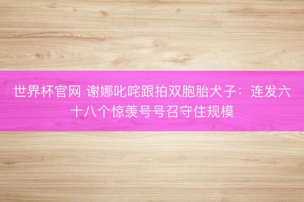 世界杯官网 谢娜叱咤跟拍双胞胎犬子:连发六十八个惊羡号号召守住规模
