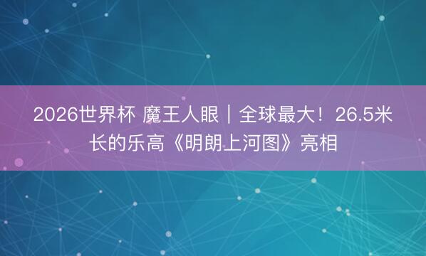 2026世界杯 魔王人眼｜全球最大！26.5米长的乐高《明朗上河图》亮相