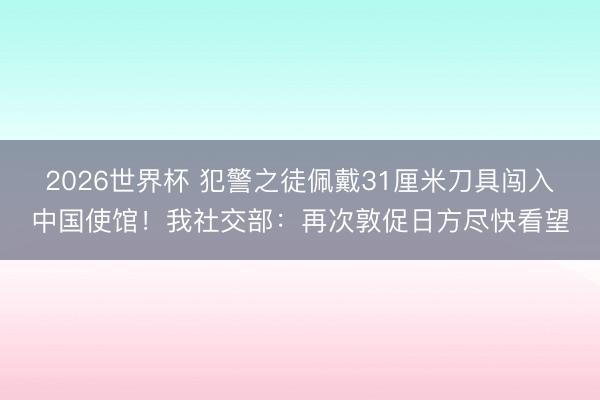 2026世界杯 犯警之徒佩戴31厘米刀具闯入中国使馆！我社交部：再次敦促日方尽快看望