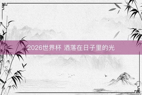2026世界杯 洒落在日子里的光