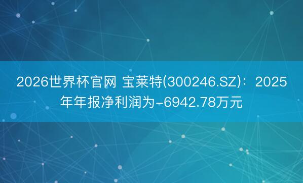2026世界杯官网 宝莱特(300246.SZ)：2025年年报净利润为-6942.78万元