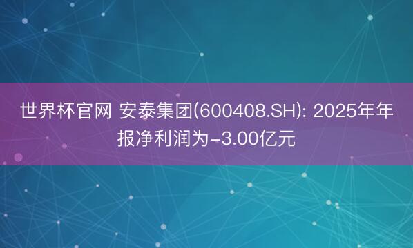 世界杯官网 安泰集团(600408.SH): 2025年年报净利润为-3.00亿元