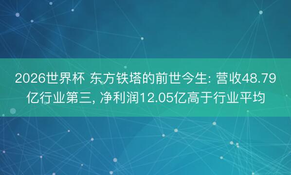 2026世界杯 东方铁塔的前世今生: 营收48.79亿行业第三， 净利润12.05亿高于行业平均
