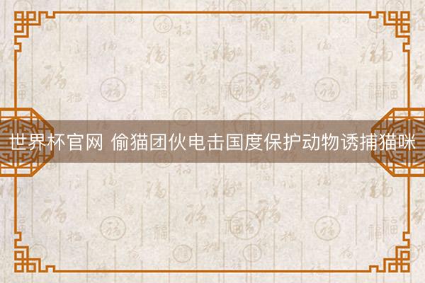 世界杯官网 偷猫团伙电击国度保护动物诱捕猫咪