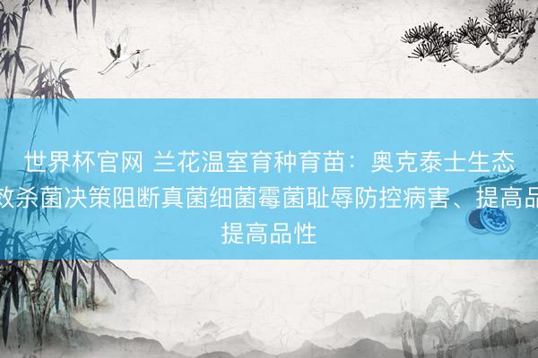 世界杯官网 兰花温室育种育苗：奥克泰士生态高效杀菌决策阻断真菌细菌霉菌耻辱防控病害、提高品性