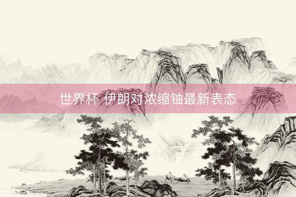 世界杯 伊朗对浓缩铀最新表态